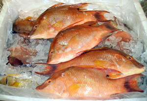 ethnic seafood